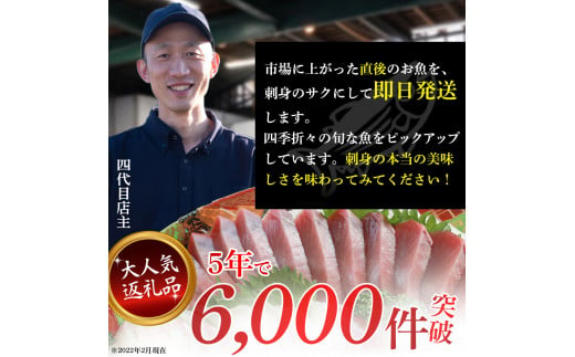 旬な海の幸をお届け！大将のおまかせ刺身3～4種類盛！ 刺し身 海鮮 鮮魚 海鮮丼 魚 刺身セット お魚 さしみ 魚介類 刺身盛り合わせ 冷蔵 鰹 マグロ ブリ ハマチ イカ スマ グレ イサギ セット カンパチ ヒラマサ／Efs-A03