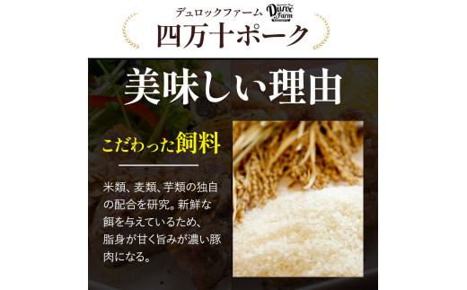 ◆丁度いい1.0㎏◆四万十町産◆新鮮国産ブランド豚こま切れセット／Adf-B24