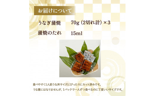 四万十のうなぎ蒲焼３人前／Ess-B07