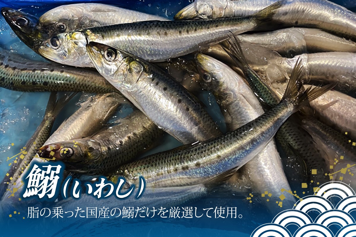 【A4-037】鰯めんたい 4尾×2袋（計8尾入）