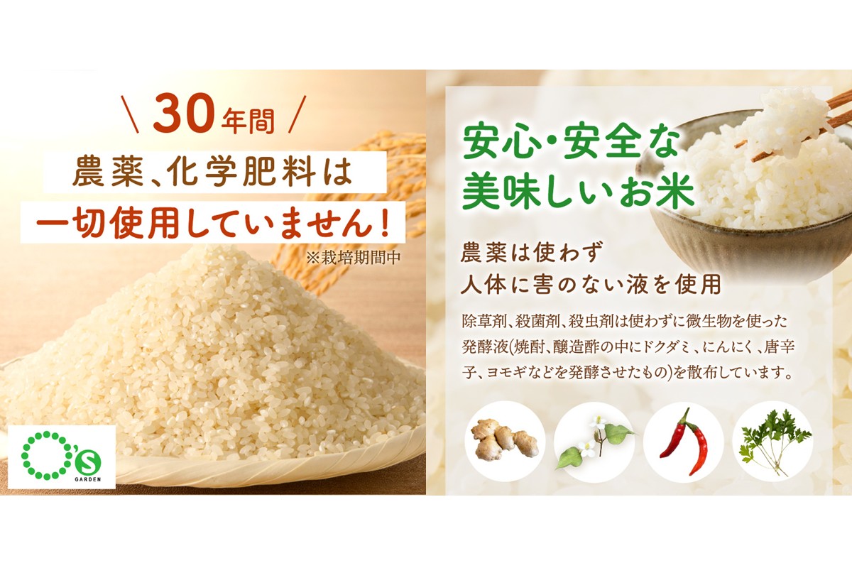 【E4-009】【令和8年産】農薬・化学肥料不使用 真ちゃん米 15kg