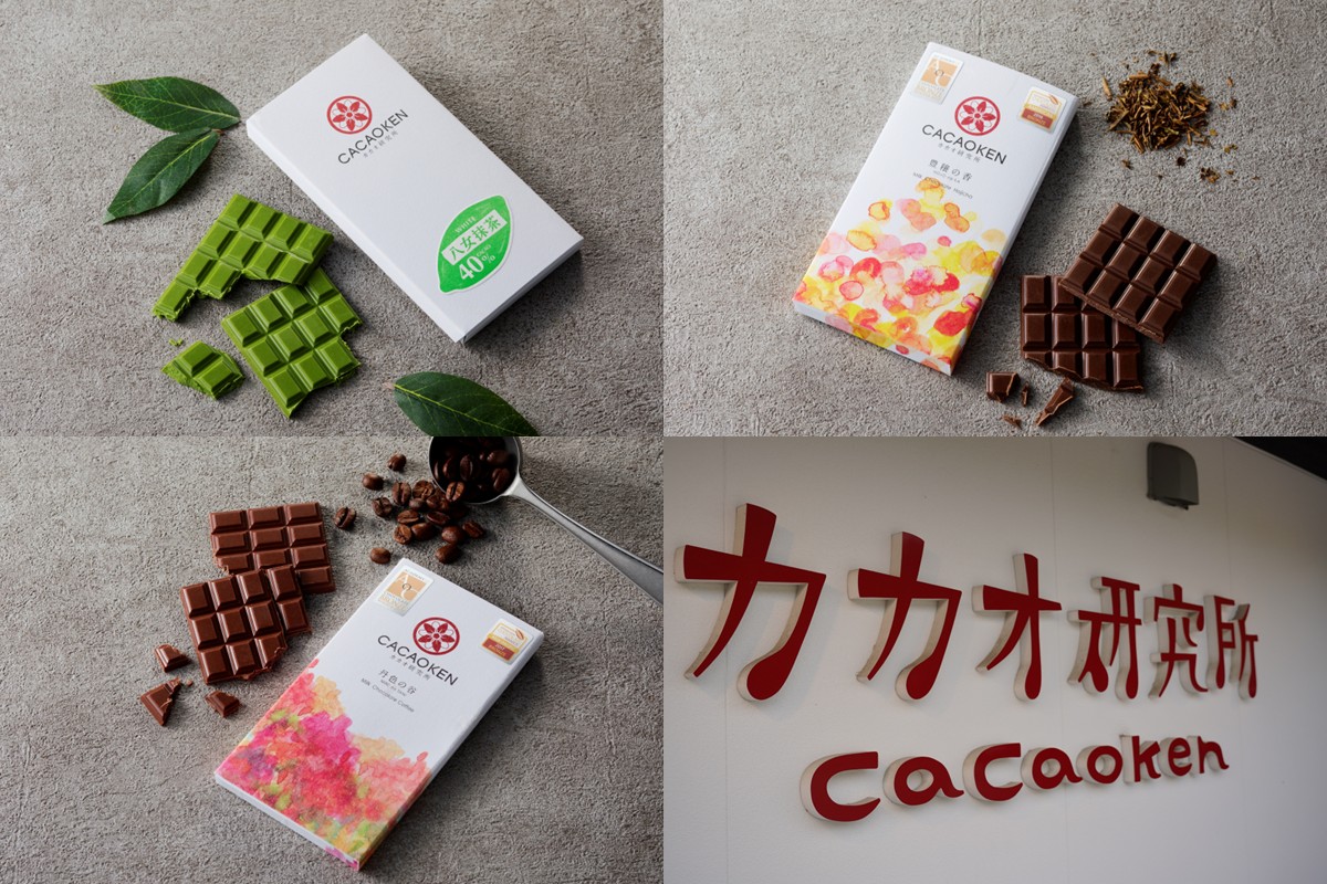 【A8-085】鉄板焼ハンバーグ(2種各2個)＆カカオ研究所 茶葉のチョコセット