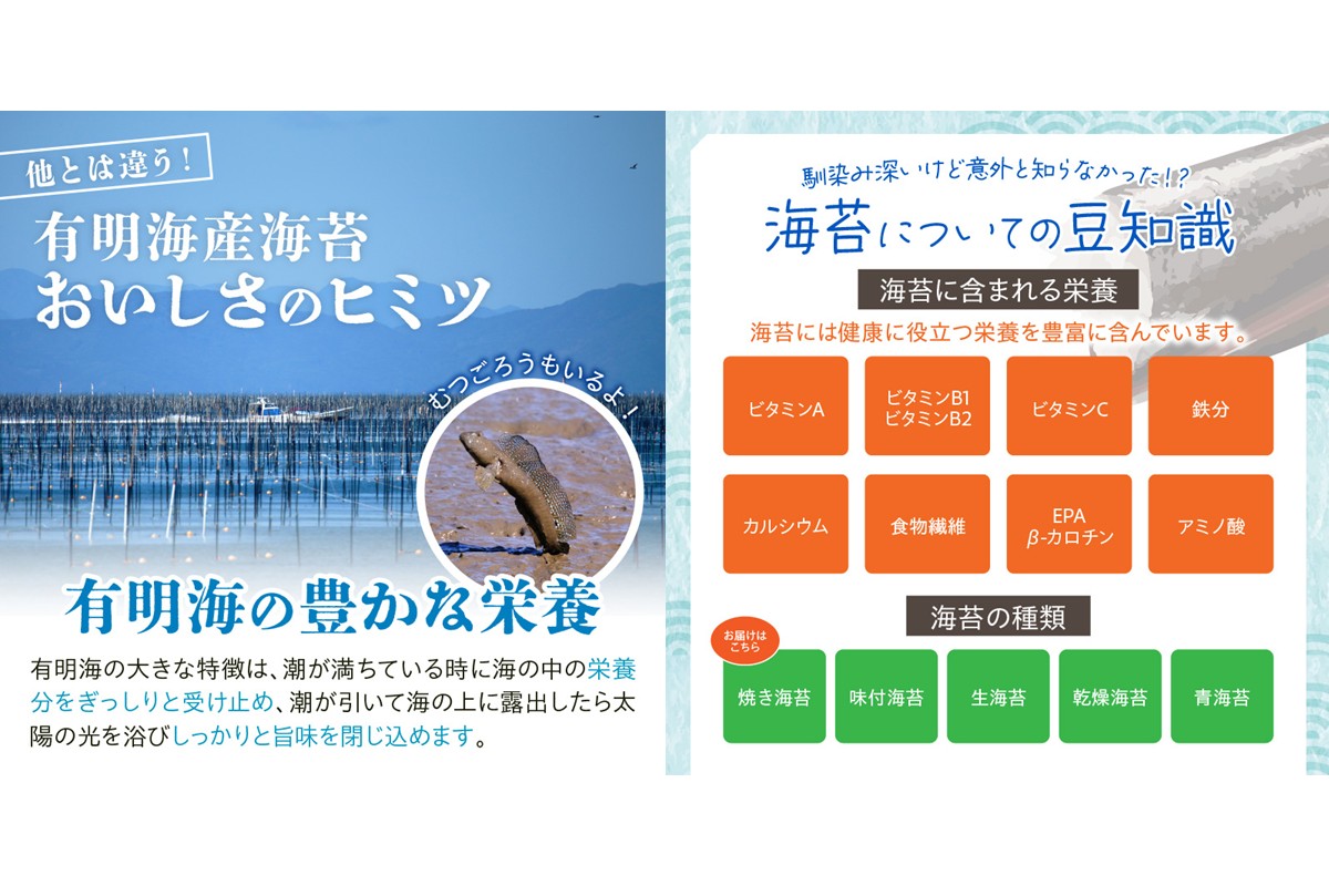 【A3-073】有明海産 焼き海苔 ボトル 10切100枚×4本 合計400枚【福岡有明のり】