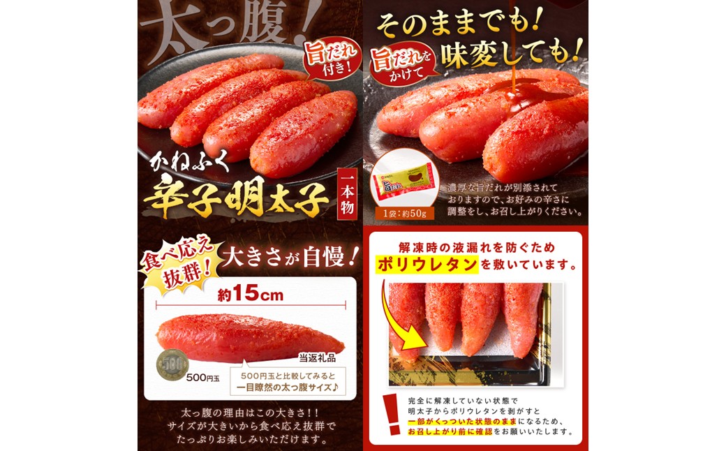 【A5-301】かねふく辛子明太子&デミソースのハンバーグ2種セット