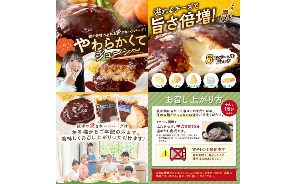 【K03-001】かねふく辛子明太子&デミソースのハンバーグ2種セット【毎月定期便(計12回発送)】
