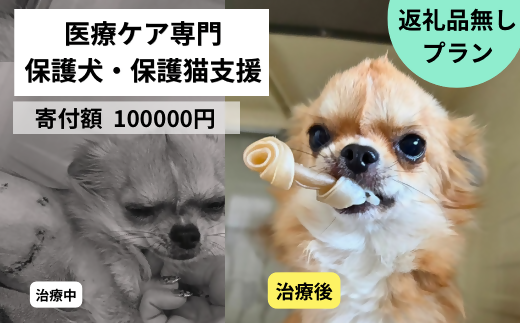 DQ-007_保護犬・保護猫支援！　100,000円コース（返礼品無し）