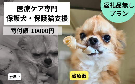 DQ-004_保護犬・保護猫支援！　10,000円コース（返礼品無し）