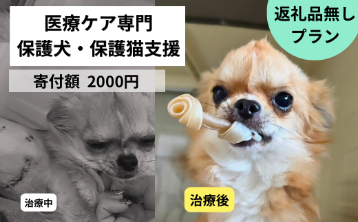 DQ-002_保護犬・保護猫支援！　2,000円コース（返礼品無し）