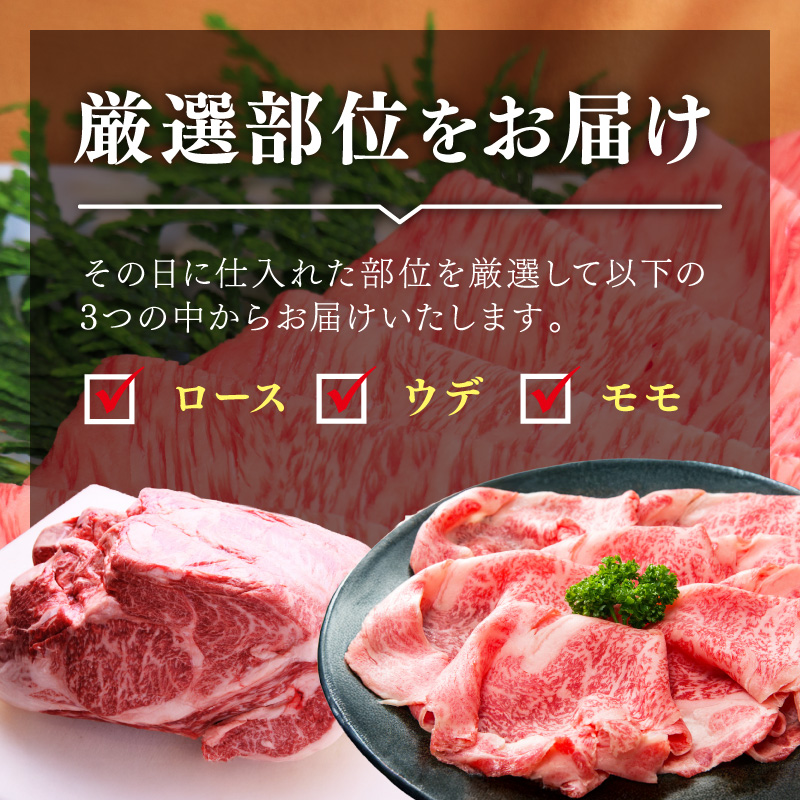 博多和牛A5しゃぶしゃぶ すき焼き用＜厳選部位＞(ロース肉・モモ肉・ウデ肉)500g 肉 牛肉 黒毛和牛 博多和牛 国産 国産牛 牛 和牛【014-0025】