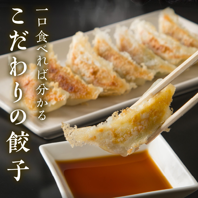 生姜餃子4パック(72個入り)【008-0002】