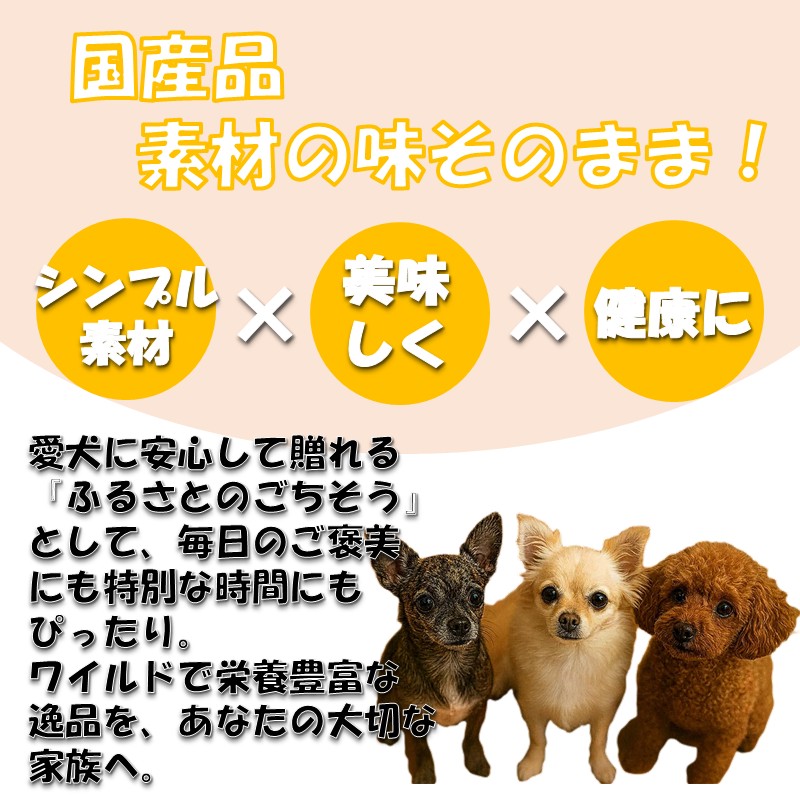 ドッグスナックお試しBOX【090-0003】