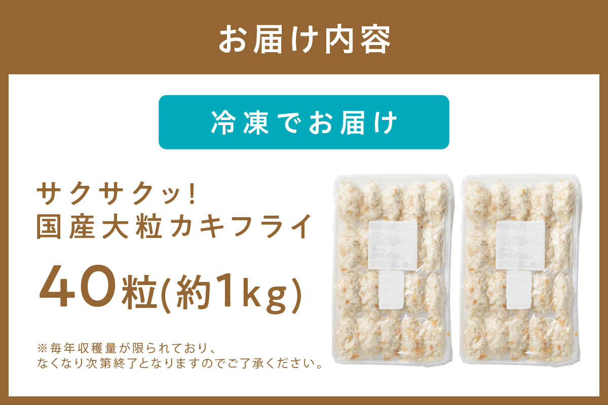 サクサクッ!国産大粒カキフライ40粒(約1kg) カキフライ カキ かき  牡蠣 魚貝類 貝 海鮮【001-0011】