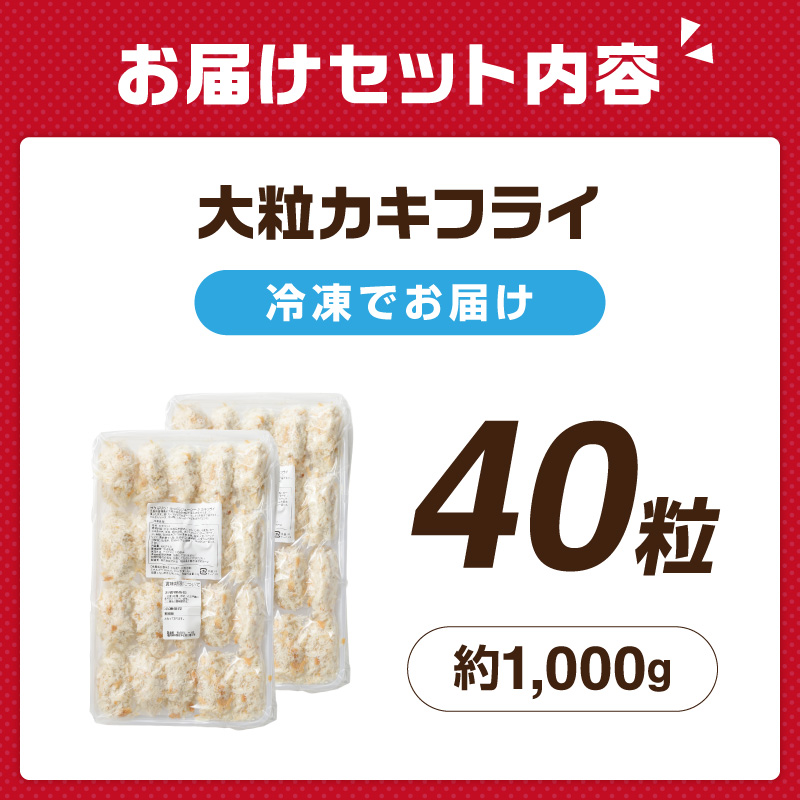 サクサクッ!国産大粒カキフライ40粒(約1kg) カキフライ カキ かき  牡蠣 魚貝類 貝 海鮮【001-0011】