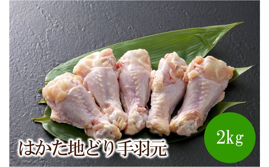 はかた地どり手羽元2kg(1kgx2)【091-0014】