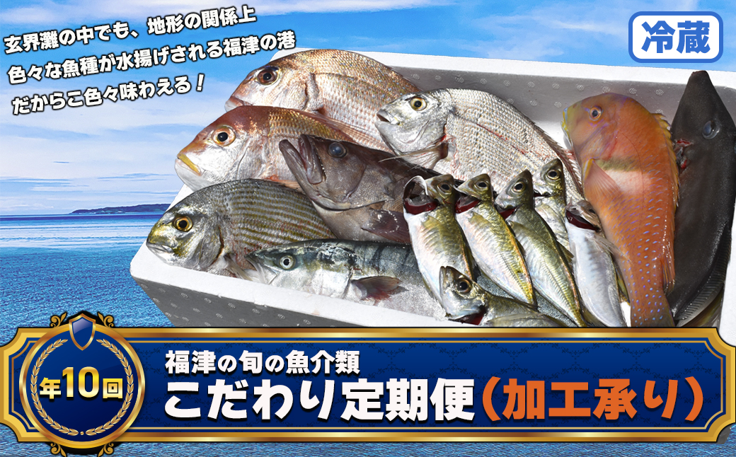 【年10回】福津の旬の魚介類こだわり定期便【加工承り】【随時開始】[H7016]