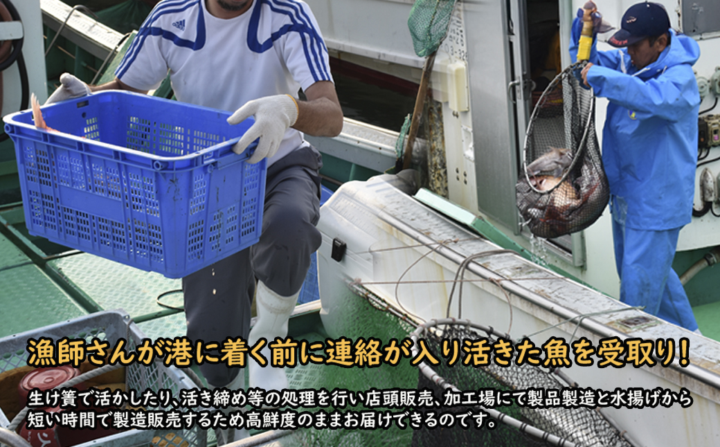 【年10回】福津の旬の魚介類こだわり定期便【加工承り】【随時開始】[H7016]