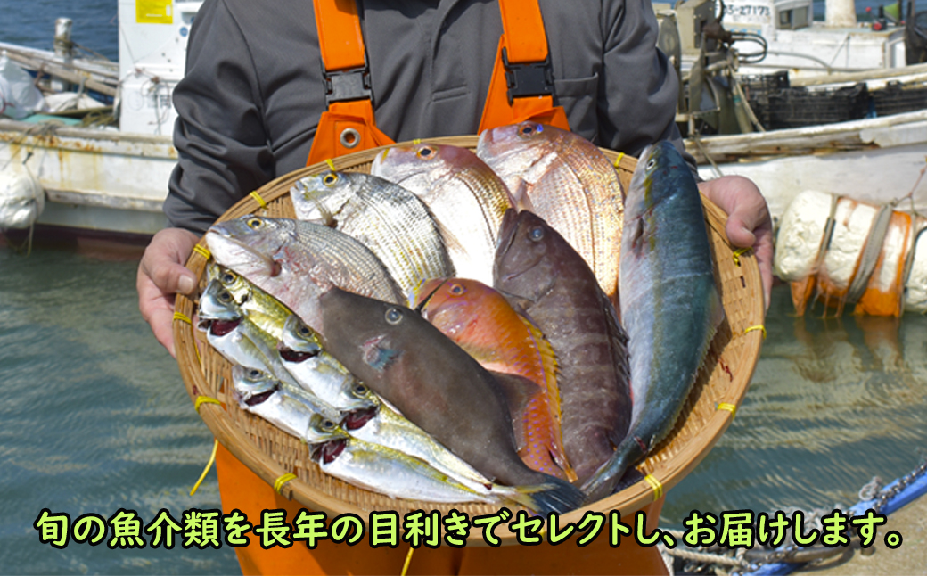 【年10回】福津の旬の魚介類こだわり定期便【加工承り】【随時開始】[H7016]