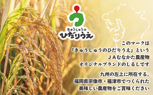 【令和7年産米】【2025年10月より順次発送】JAよりお届け！福岡県ブランド米「夢つくし」10kg（5kg×2袋）[H2313a]