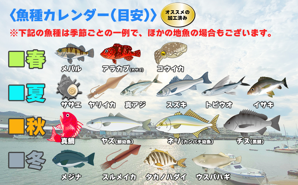 【年10回】福津の旬の魚介類こだわり定期便【加工承り】【随時開始】[H7016]