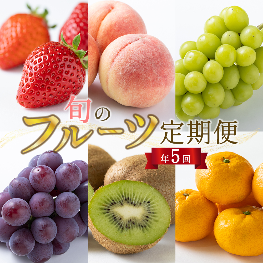 【年5回】旬のフルーツ定期便★あんずの里【随時開始】[H7032a]
