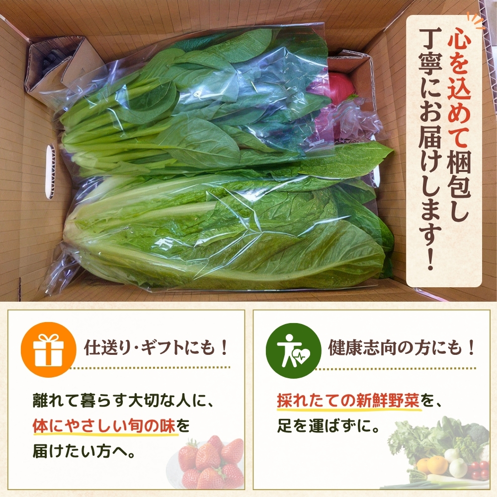 【年12回毎月】穫れたて!旬の野菜・果物定期便★あんずの里【随時開始】[G7010]