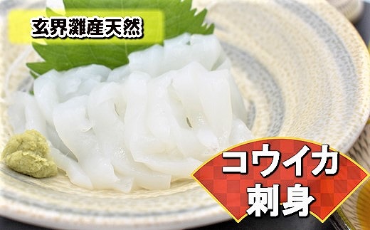 これは食べなイカん！！ お刺身コウイカ600g（50g×12P）[H0081]