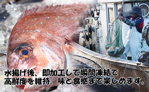 玄界灘産 海鮮漬け丼の素6人前（70g×6P）【真鯛・甲いか 各3人前】★1人前ずつ個包装[H0167]