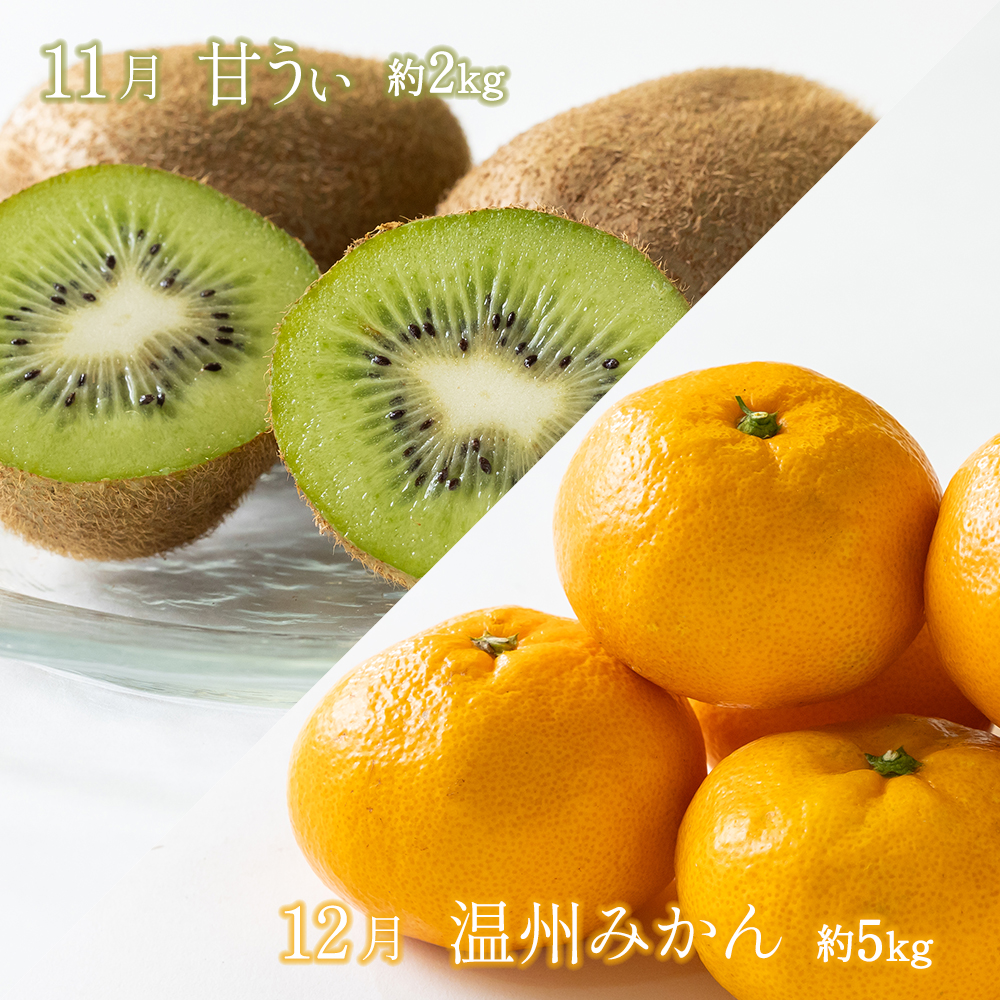 【年5回】旬のフルーツ定期便★あんずの里【随時開始】[H7032a]
