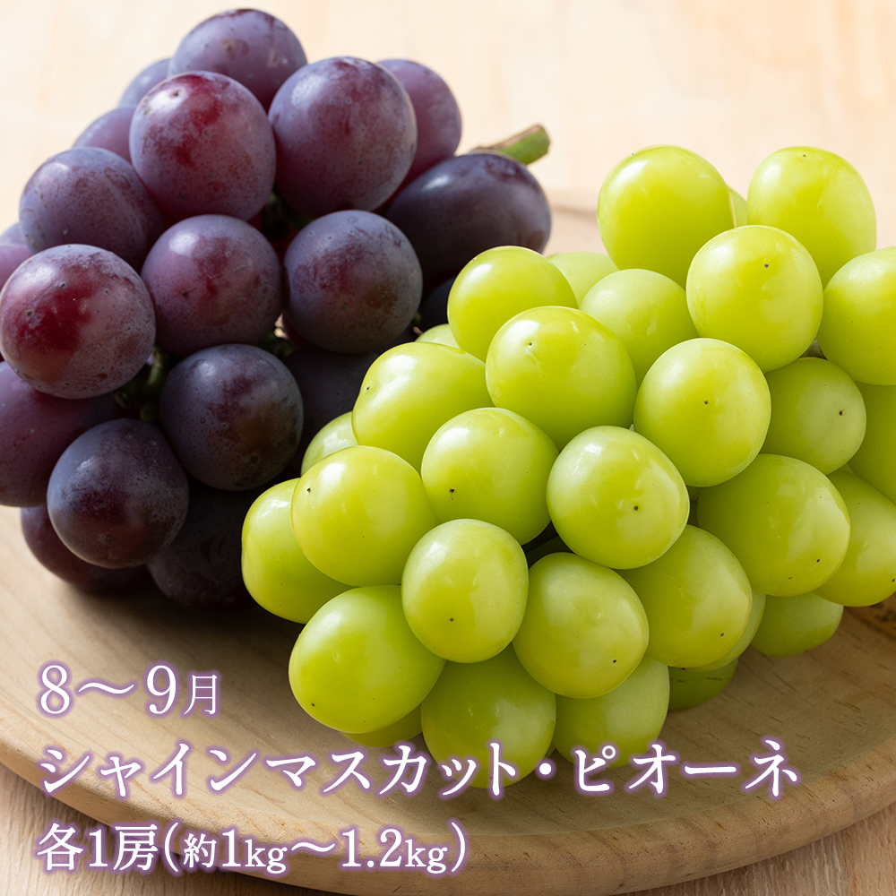 【年5回】旬のフルーツ定期便★あんずの里【随時開始】[H7032a]