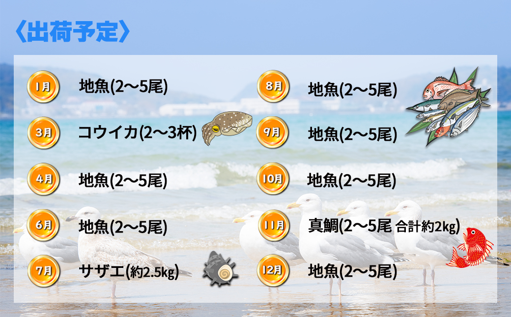 【年10回】福津の旬の魚介類こだわり定期便【加工承り】【随時開始】[H7016]