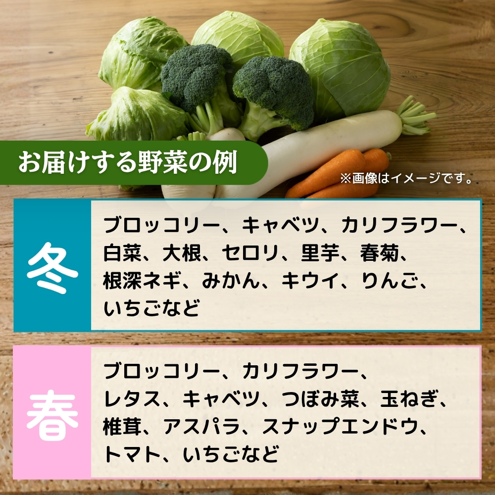 【年12回毎月】穫れたて!旬の野菜・果物定期便★あんずの里【随時開始】[G7010]