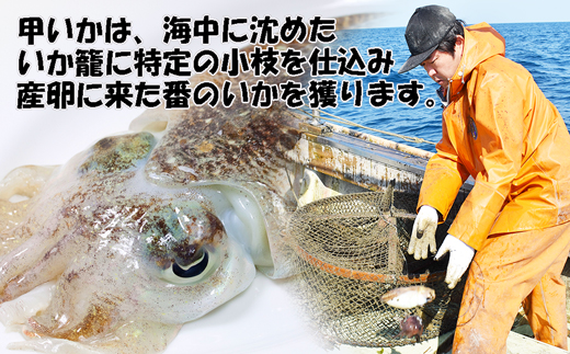玄界灘産 海鮮漬け丼の素6人前（70g×6P）【真鯛・甲いか 各3人前】★1人前ずつ個包装[H0167]