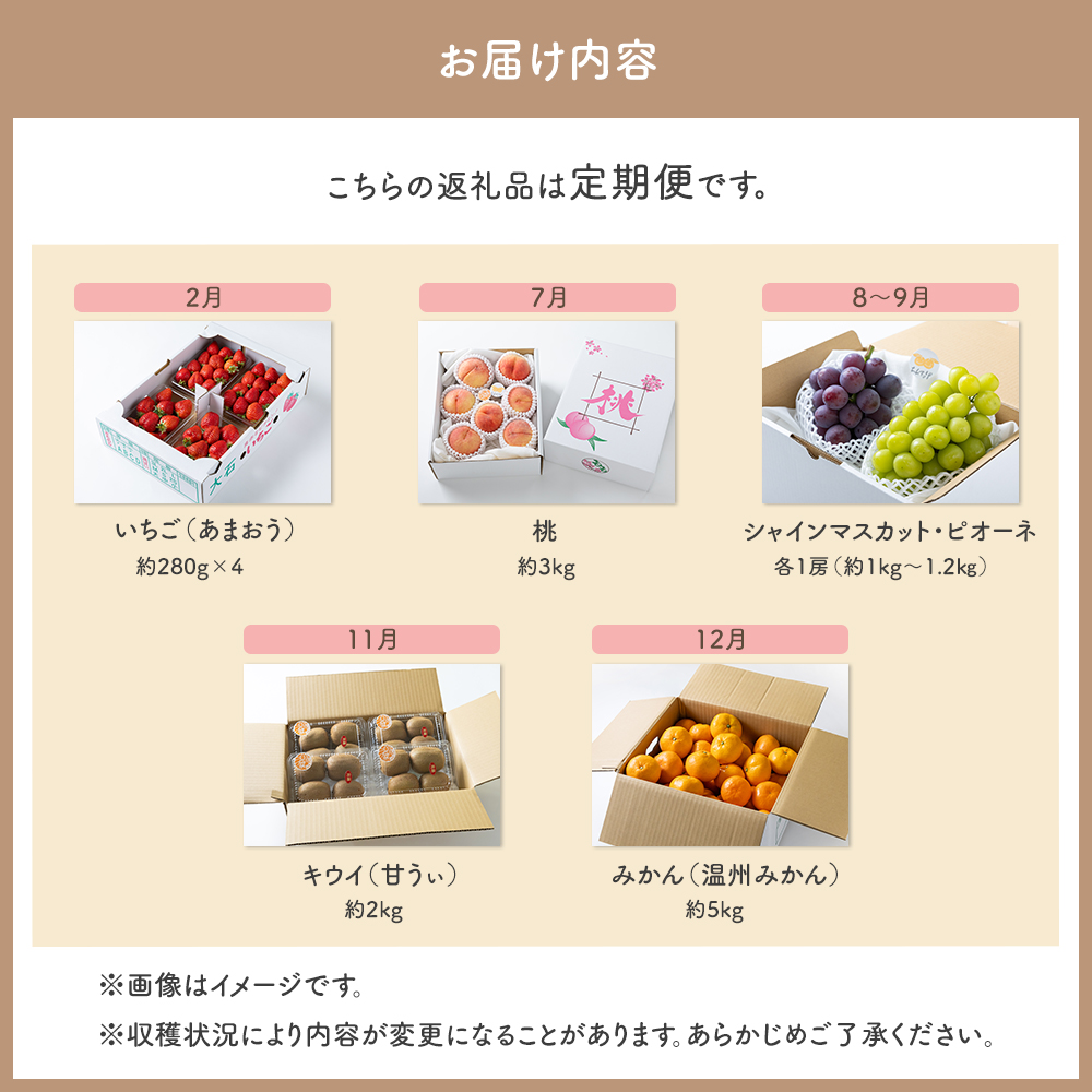 【年5回】旬のフルーツ定期便★あんずの里【随時開始】[H7032a]