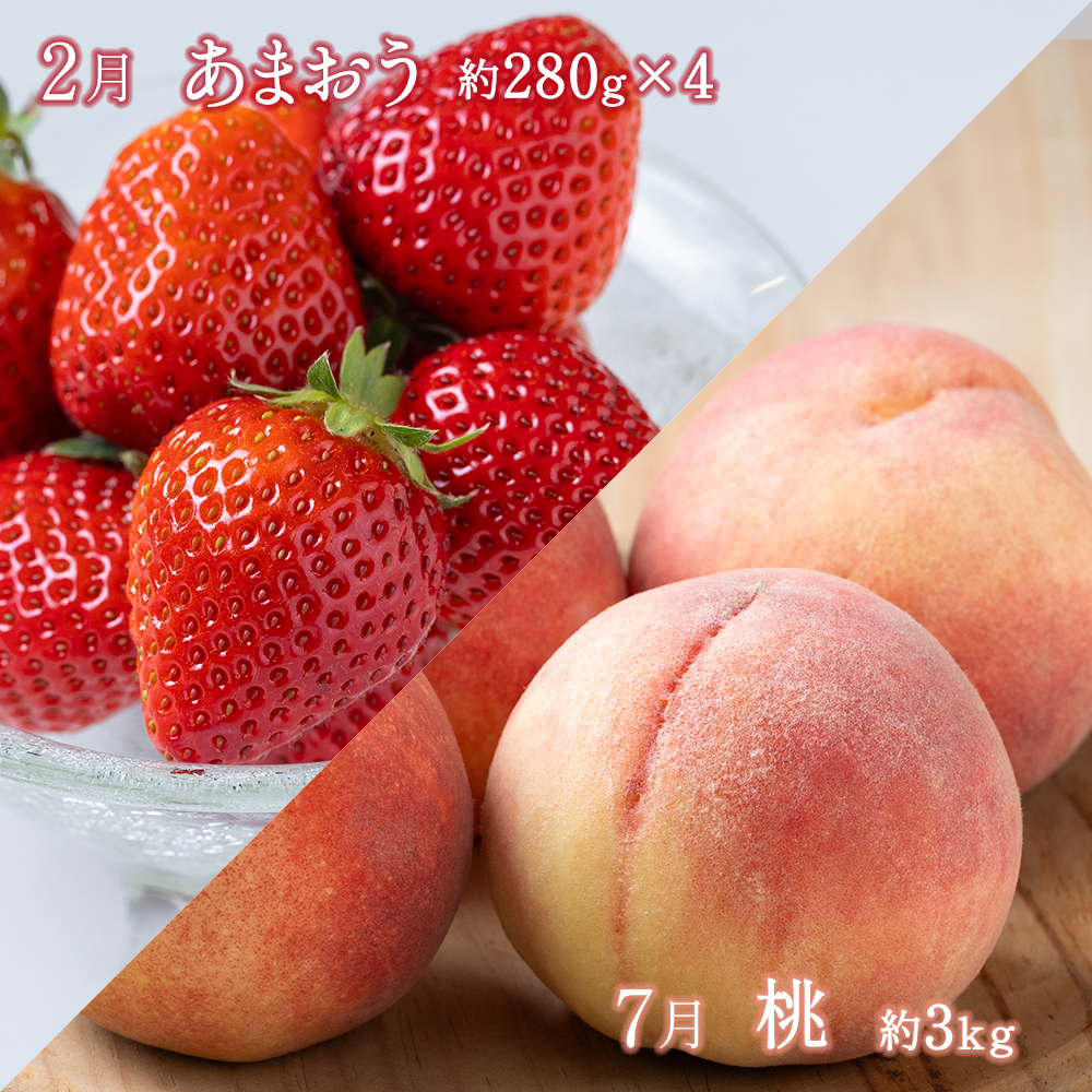 【年5回】旬のフルーツ定期便★あんずの里【随時開始】[H7032a]