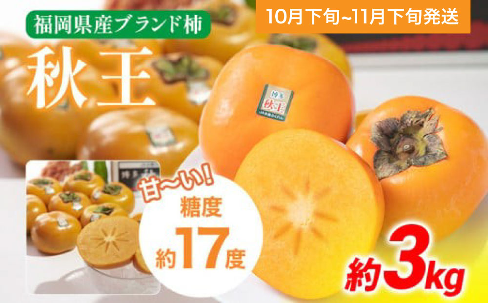 《先行予約》期間限定 福岡県産ブランド柿「秋王」 約3kg（8-12玉）返礼品 お取り寄せグルメ お取り寄せ グルメ カキ かき 果物 フルーツ 南国フルーツ CO012