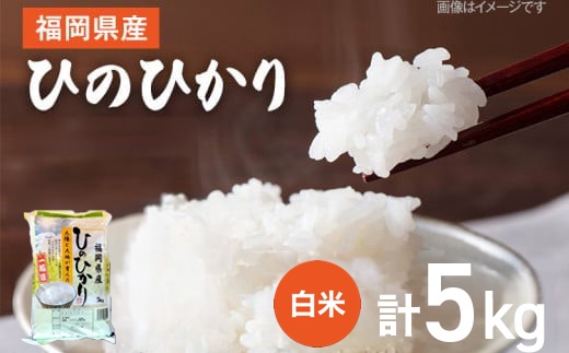 【令和7年産】 福岡県 大木町産 ひのひかり 5kg　BC01-1