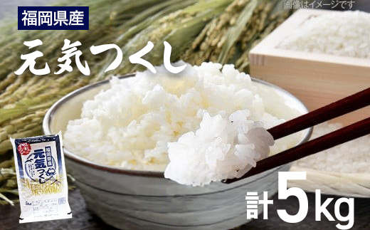 【令和7年産】 福岡県 大木町産 元気つくし 5kg　BC02-2
