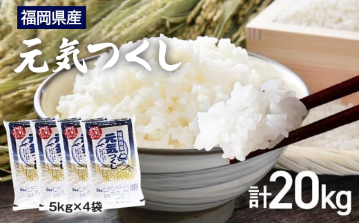 【令和7年産】 福岡県 大木町産 元気つくし 20kg　BC05