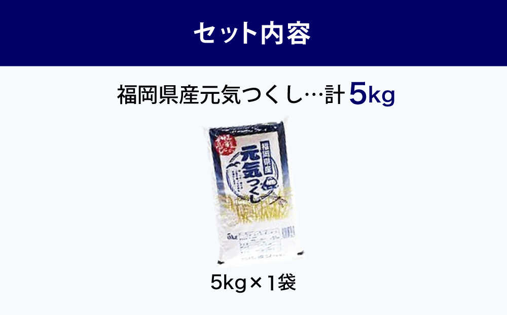 【令和7年産】 福岡県 大木町産 元気つくし 5kg　BC02-2