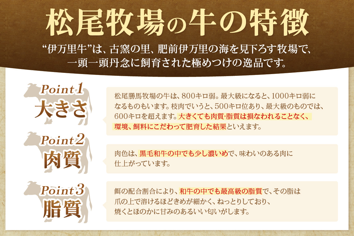 【伊萬里牛100%使用】 伊万里牛ハンバーグとローストビーフセット 007-J2125