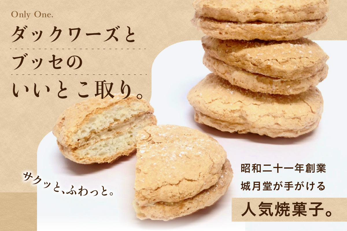 【伊万里名物】伊万里街道（8個入） 021-F293
