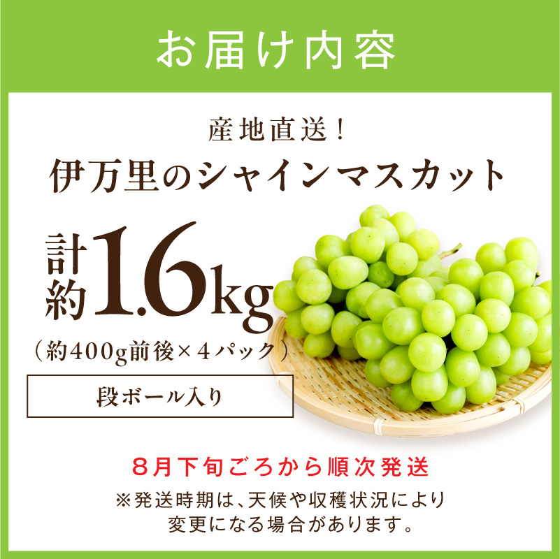 伊万里のシャインマスカット 1.6kg（400g×4P） 178-B1089