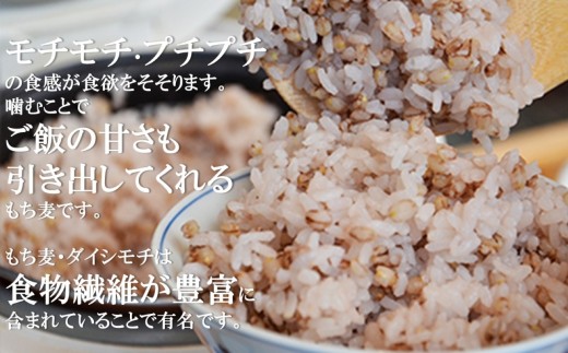 伊万里のあじわい｜さがびより・もち麦・梅干し・緑茶・果実酢・どら焼 080-E033