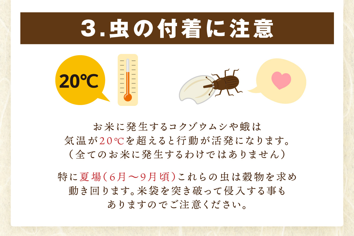 伊万里産 プレミアム ブレンド米 3Kg 【無洗米】お米マイスター厳選 086-B1049