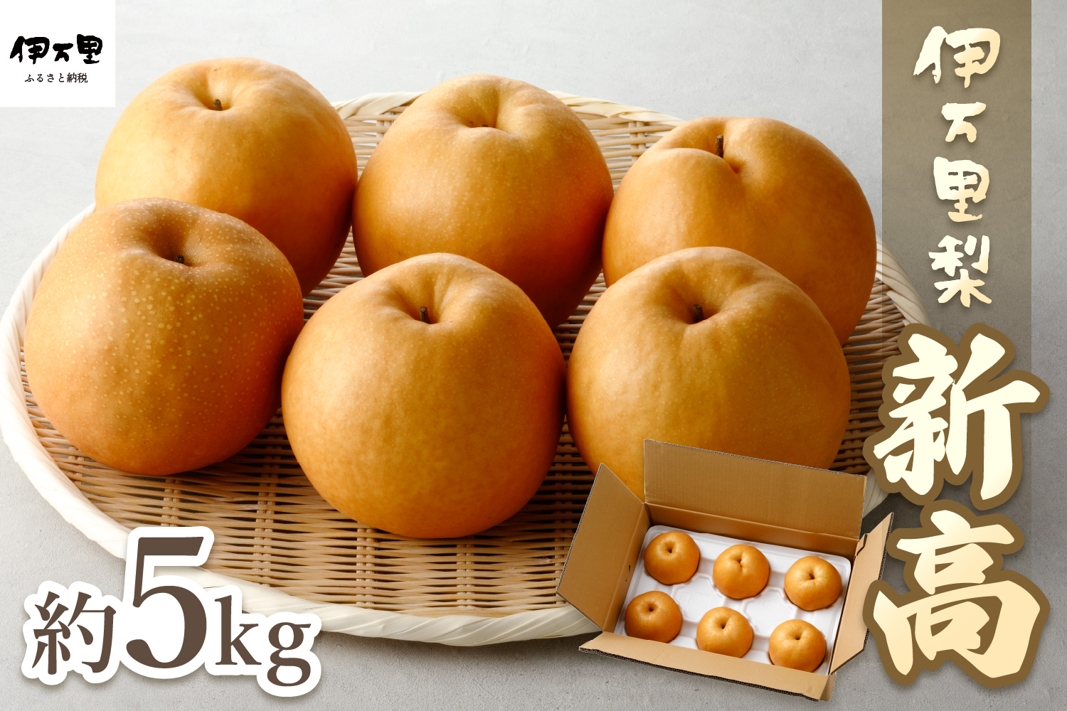 【2026年産先行予約】伊万里梨「新高」 5kg 大型種 178-B942