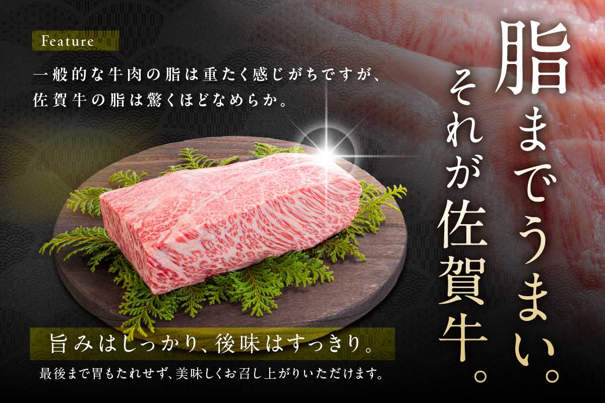 佐賀牛 訳あり 切り落とし 1kg (500g×2p) 159-J1695