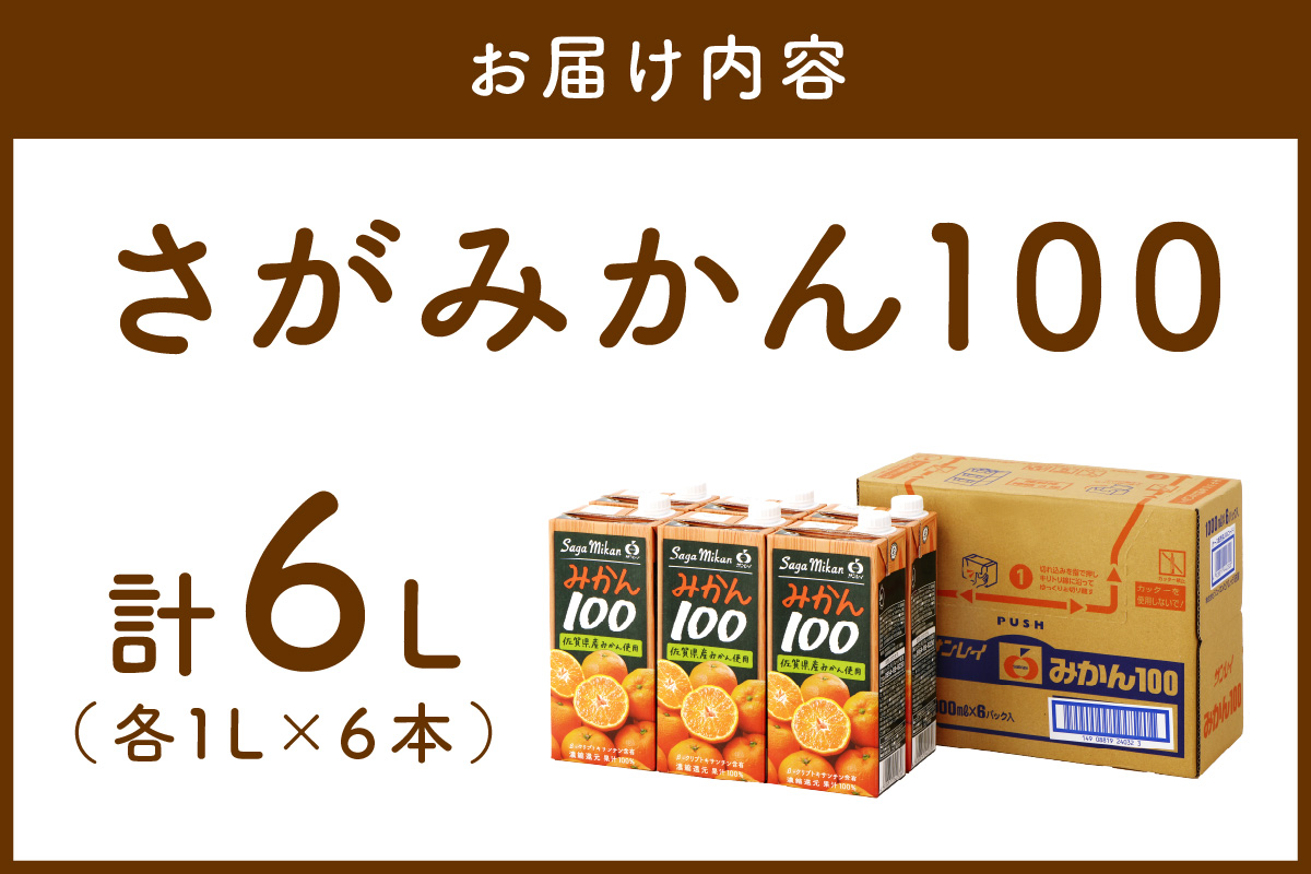 【佐賀県産温州みかん使用】 みかんジュース さがみかん100 1L×6本 173-A068