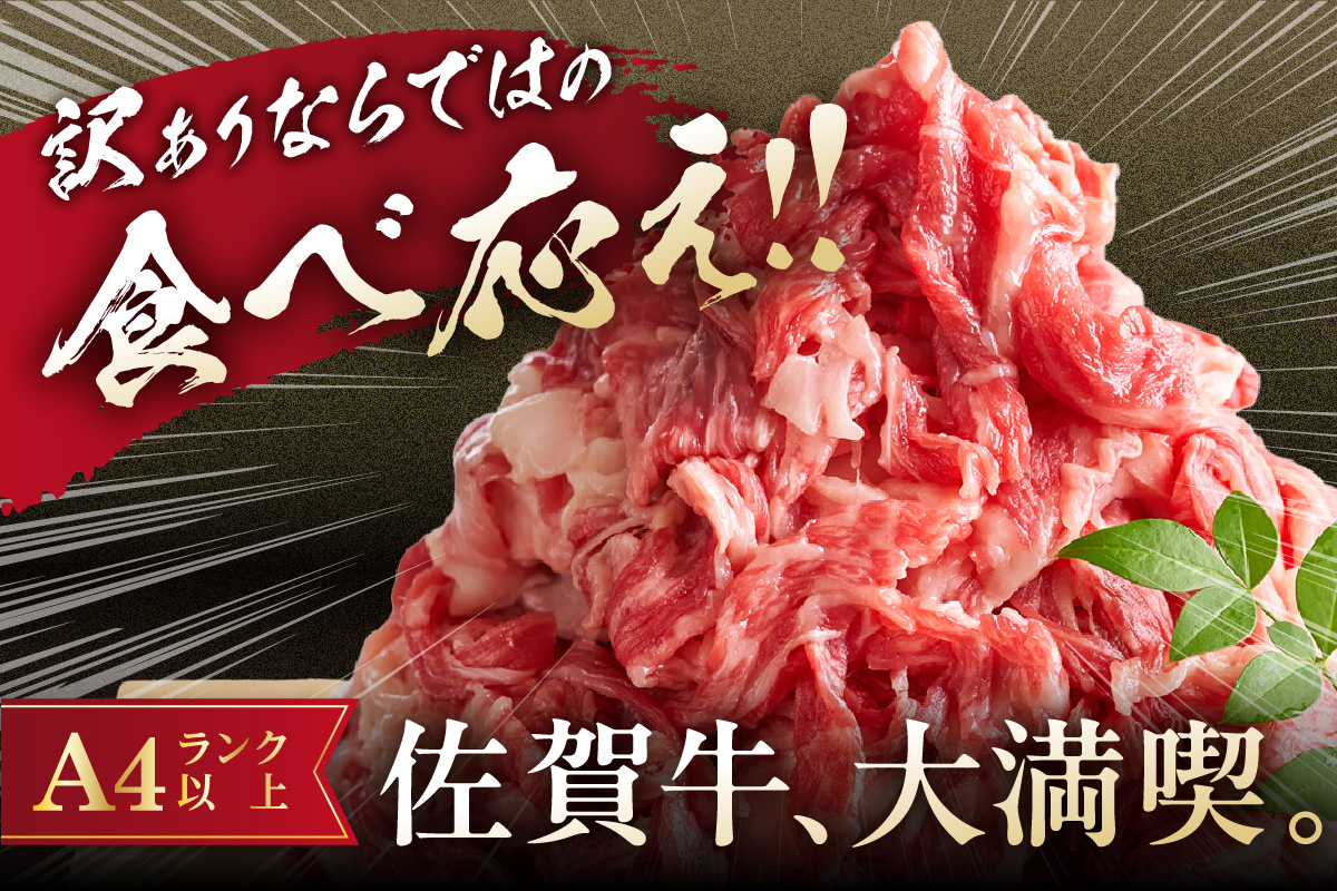 佐賀牛 訳あり 切り落とし 1kg (500g×2p) 159-J1695