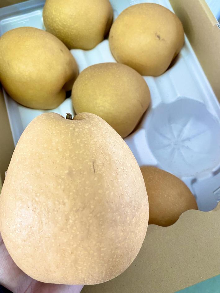 【 数量限定 】 伊万里梨 王秋 2.5kg 113-B1183