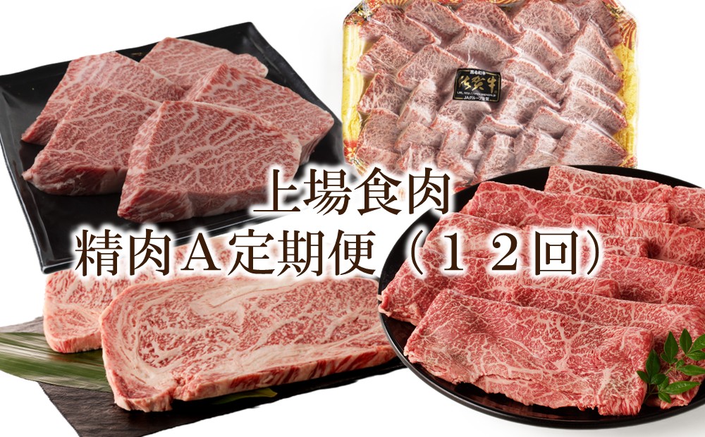 上場食肉｜精肉A定期便（12回） 999-J2031